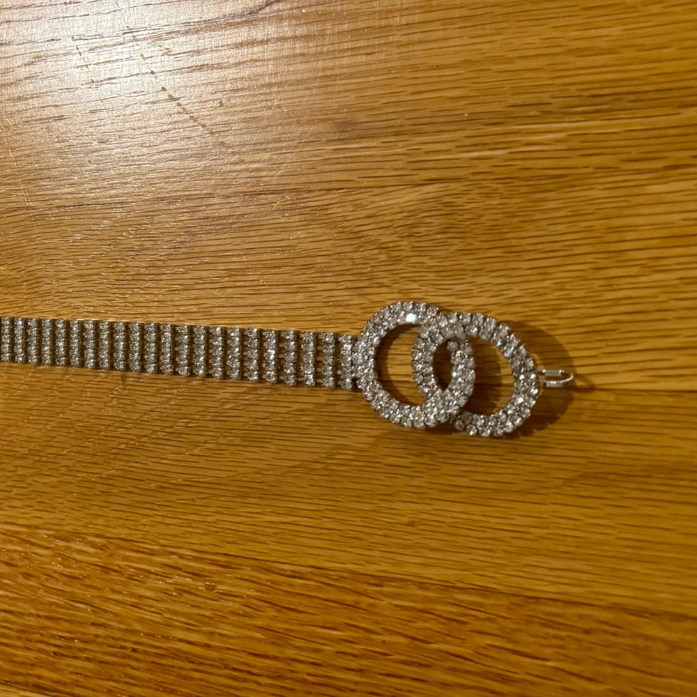Thin Sparkly Belt